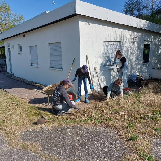 Arbeitseinsatz 2025 4